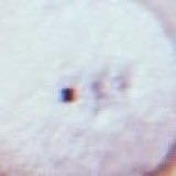 フ (@z_s_lz) 's Twitter Profile Photo