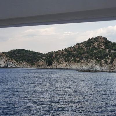 swiftdisneymom's profile picture. 