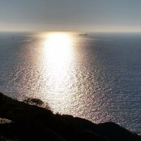 Suzanne_Cummins (@suzanne_cummins) 's Twitter Profile Photo