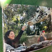 michelle (@michell55479) 's Twitter Profile
