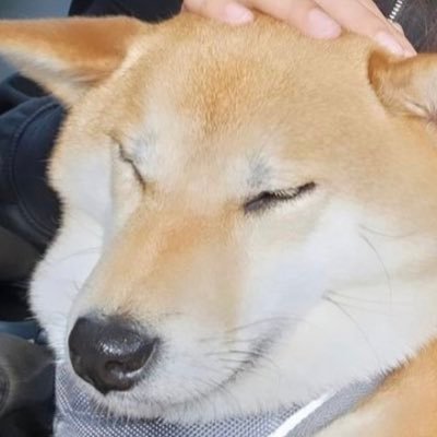 lactatemomo's profile picture. 