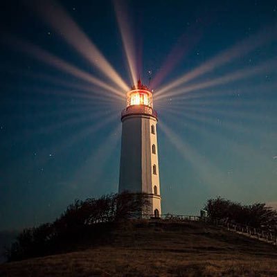 ArboristsP's profile picture. The more that a broken system tells you that you’re wrong, the more certain you should be that you must keep pushing forward.