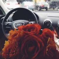 Bushra. (@besh_x11) 's Twitter Profile