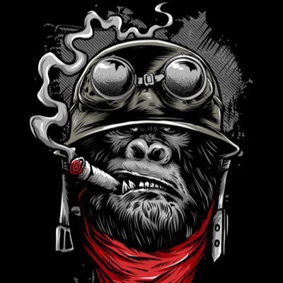 TechGreg1's profile picture. just ur regular tech bro. i love football, hip hop and the good life. of course all things tech goes without saying. big fan of Elon…u feel me?