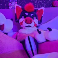 Usamaro666 (@usamaro666ad) 's Twitter Profile