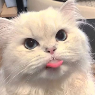 yunpawee's profile picture. 