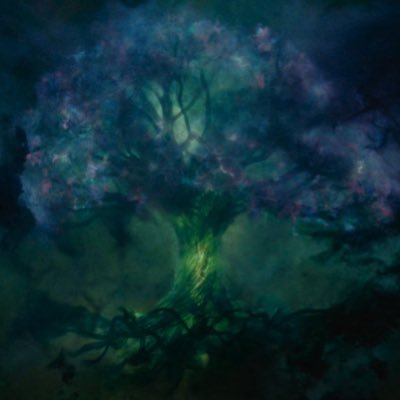 OrhanT_22's profile picture. le sultan