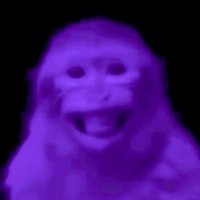 Drake (@p01itics) 's Twitter Profile