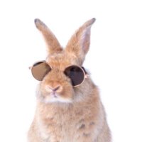 A.M.W. 🌻🌎⚖️🗽🙏🇺🇸 (@amiemcwayne) 's Twitter Profile Photo