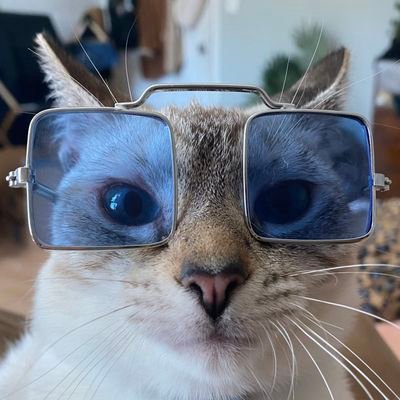 PutainDeNomMerd's profile picture. Oui