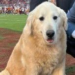 brett muller (1) (@brettmuller1) 's Twitter Profile