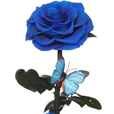 GutyRosi5062's profile picture. 