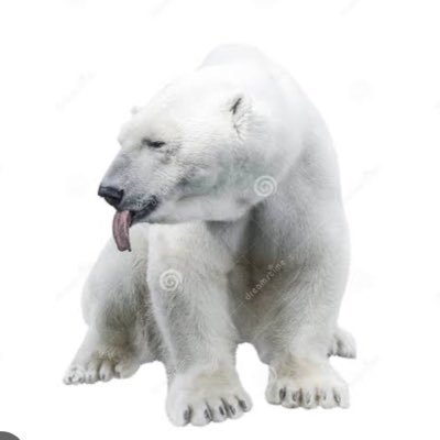 BigWhiteBear