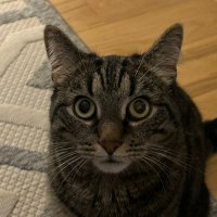 CD (@cmd202107) 's Twitter Profile