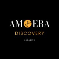 Amoeba Discovery 🔬 (@amoebadiscovery) 's Twitter Profile