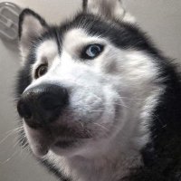 oh when? (11032025) (@owenn_cpa) 's Twitter Profile Photo oh when? (11032025) (@owenn_cpa) 's Twitter Profile Photo