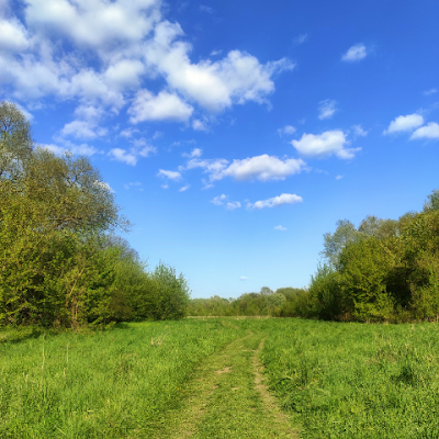 Aureczer's profile picture. 