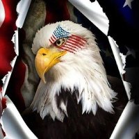 die hard conservative (@markcol46789178) 's Twitter Profile