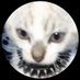 SÆ is sleepy (@exsaee) Twitter profile photo SÆ is sleepy (@exsaee) Twitter profile photo
