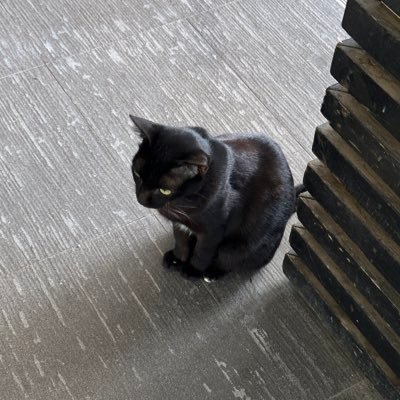 smnntur's profile picture. 