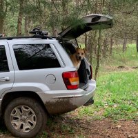 Michael Baaker (@silence2691) 's Twitter Profile