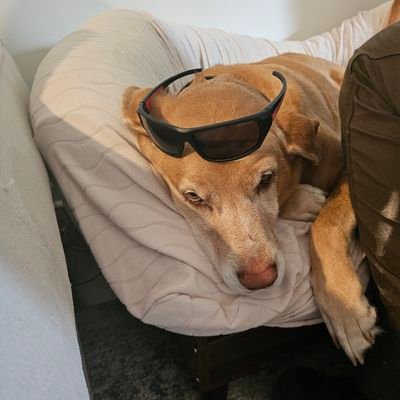SueBroc35405051's profile picture. 