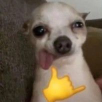 xpeachhie's profile picture. :-)