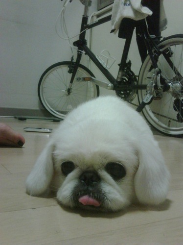 Jiya0716's profile picture. 