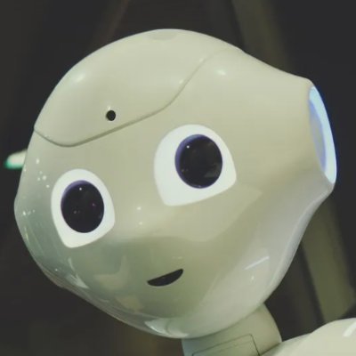Bepboprobot's profile picture. Robobot