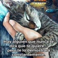 Rosario González (@gonzalezysmelia) 's Twitter Profile