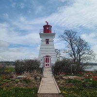 Mary W Thompson (@marythompson98) 's Twitter Profile Photo