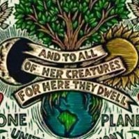 The New Normalians (@enternormalia) 's Twitter Profile