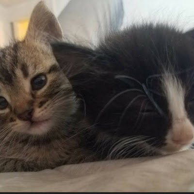 angie200707's profile picture. 