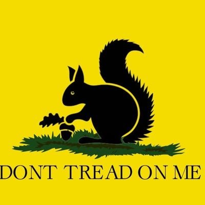 Veluna_Ailwind's profile picture. Happily married. Proud member of GenX. Believer in Common Sense, logic and courtesy...but don't tempt me.