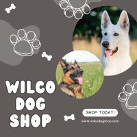 Wilco Dog Shop (@wilcodogshop) 's Twitter Profile