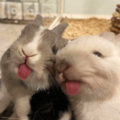 bottledtots's profile picture. are we gettin there. | 444 supremacy