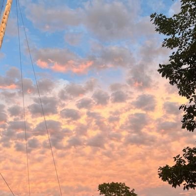 my_my_myah1314's profile picture. gymnastics 🤸🏼‍♀️
Rms📚