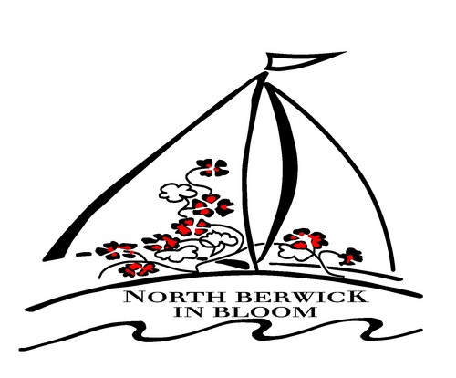 Volunteers making North Berwick even more beautiful. RHS Britain in Bloom winners, 11 times Beautiful Scotland coastal winners, Rosebowl winners 2016, 17 and 19