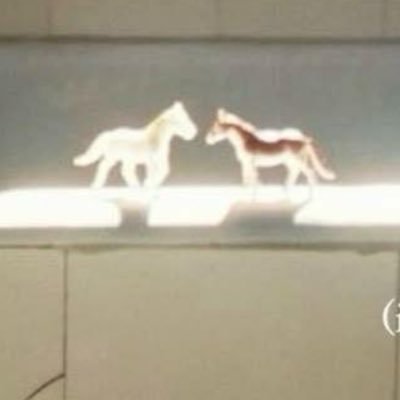 queenofthemist8's profile picture. 🕯️ journal 🕯️