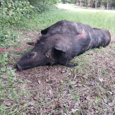 KaedonSelf63602's profile picture. 