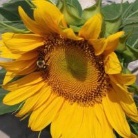 Sunny 🔆✌🏼 (@sunny2times2) 's Twitter Profile Photo