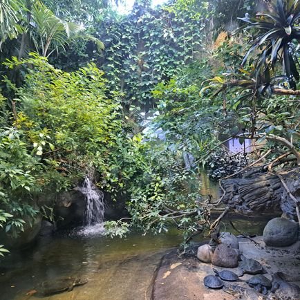 chirock23's profile picture. #Breast_Cancer_research at #MDC_Berlin, #Breast_Cancer #transposon #sleepingBeauty, #karaoke on weekends