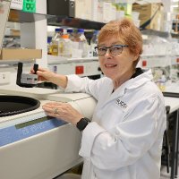 Caroline Gargett (@gargettlab) 's Twitter Profile