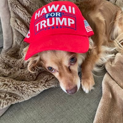 MarkusHT92's profile picture. 