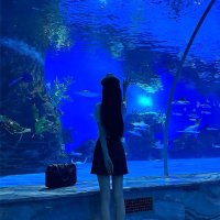 Scarlet (@abenaappenteng) 's Twitter Profile