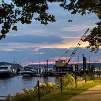 ……. (@burros_david) 's Twitter Profile