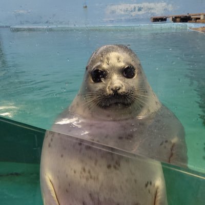 bit_vin's profile picture. 