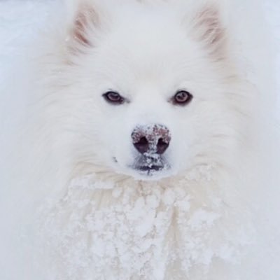 FSukoi52656's profile picture. 