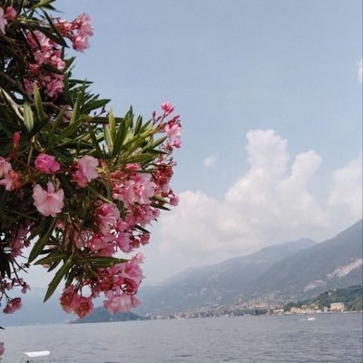 canwelaite's profile picture. كودخصم  ستايلي (F999)☀️☀️☀️