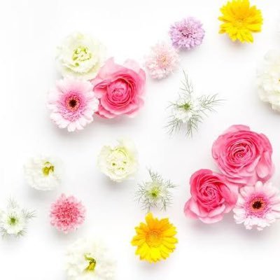 maaaaaa_______1's profile picture. 